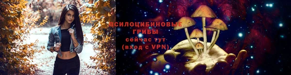 a pvp Инсар