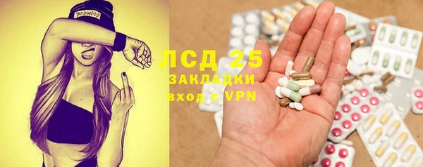 PSILOCYBIN Иннополис