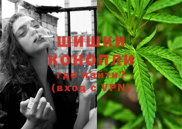 метадон Инта