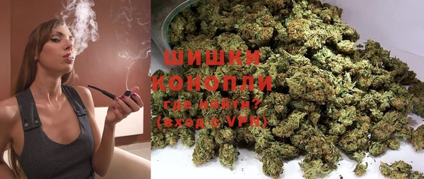 метадон Инта