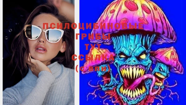PSILOCYBIN Иннополис
