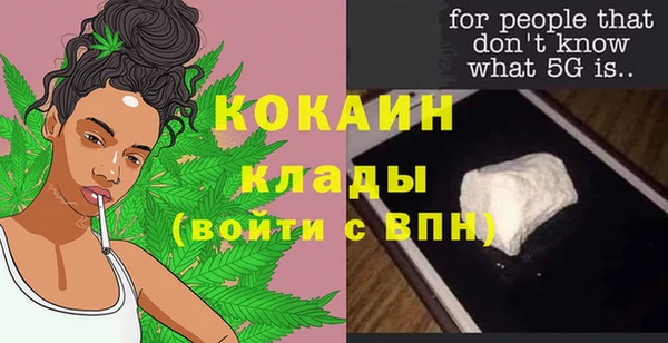 метадон Инта