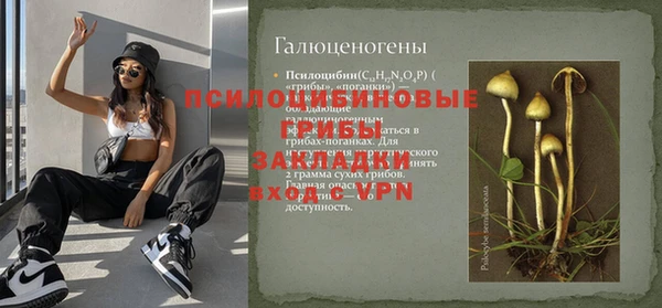 a pvp Инсар