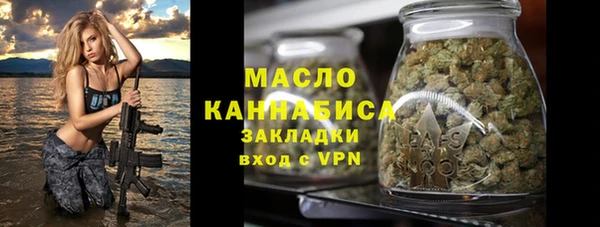 метадон Инта